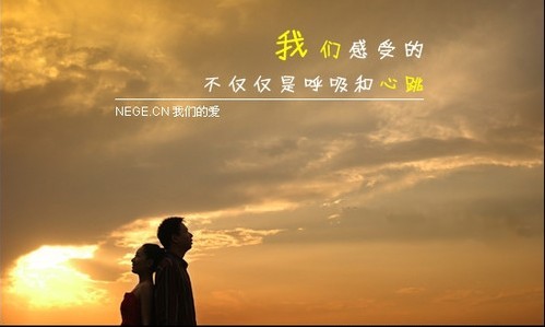 没有你的故事,你是谁 没有你的故事,你是谁