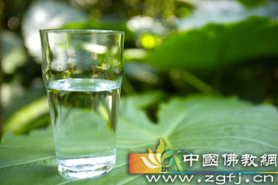 佛教-佛教哲理:阳光、花朵、净水般的语言 佛教-佛教哲理:阳光、花朵、净水般的语言