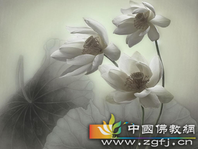 佛教-参禅何须山水地