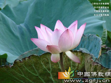 牧童-恶口戏骂 今证罗汉 牧童-恶口戏骂 今证罗汉