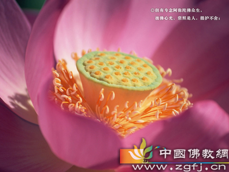 因陀罗-自乳王贪着妙欲 因陀罗-自乳王贪着妙欲