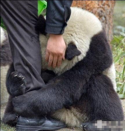 海涛法师自述杀蛇之报 海涛法师自述杀蛇之报
