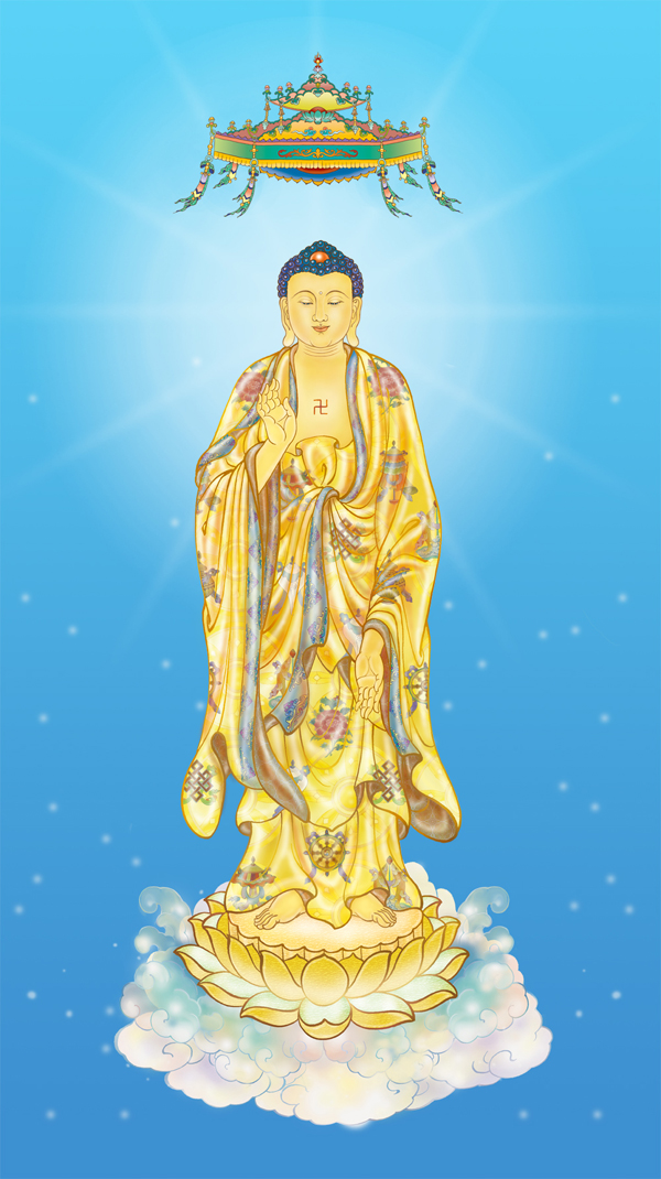 毛毛虫-太神奇了,毛毛虫听我诵经 毛毛虫-太神奇了,毛毛虫听我诵经