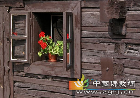 富翁的房子 富翁的房子