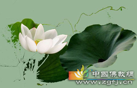 青春所驾驭不了的 青春所驾驭不了的