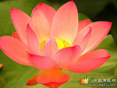 塔尔寺-倾听莲花山下的诉说 塔尔寺-倾听莲花山下的诉说