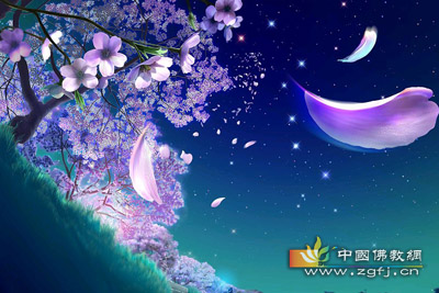 葡萄-葡萄与狗 葡萄-葡萄与狗