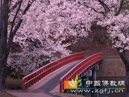 婚姻-女人说：离婚后再来娶我