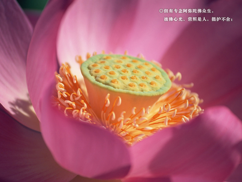 林琳-感谢当年她给的台阶 林琳-感谢当年她给的台阶