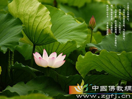 佛教-凡夫与师父 佛教-凡夫与师父