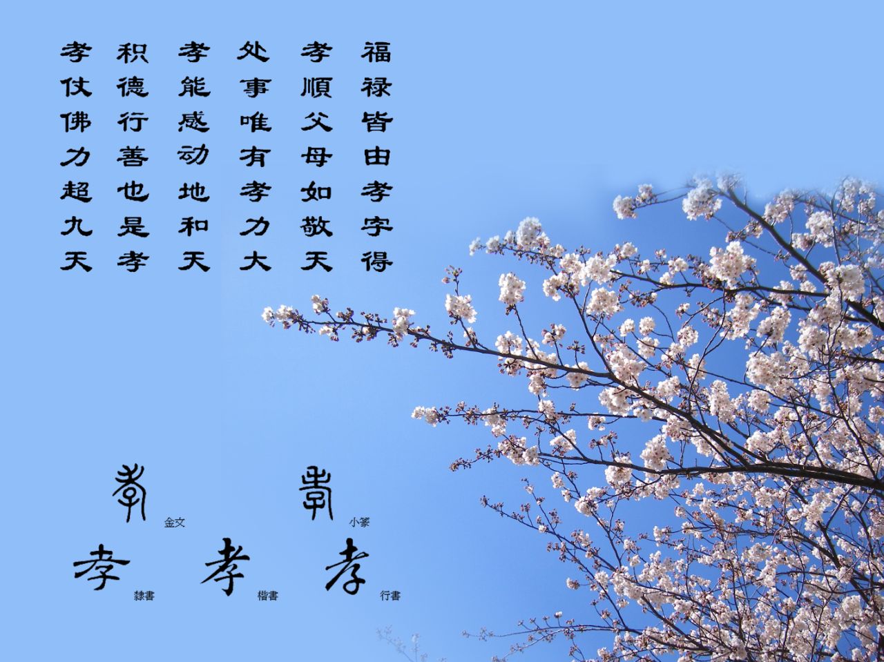 看吧,什么也别说了 看吧,什么也别说了