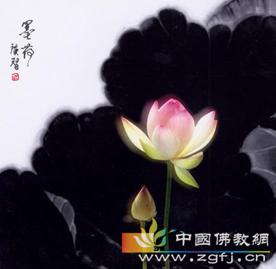 佛者开示:清静心创造洁净土 佛者开示:清静心创造洁净土