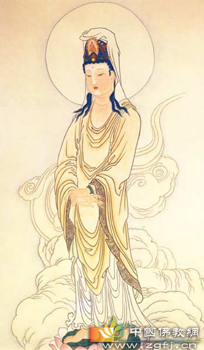 蚯蚓-尘世间最真最美的佛心 蚯蚓-尘世间最真最美的佛心