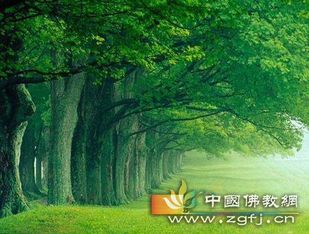 从一个微笑开始 从一个微笑开始