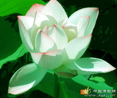 e-mail-微软的清洁工 e-mail-微软的清洁工