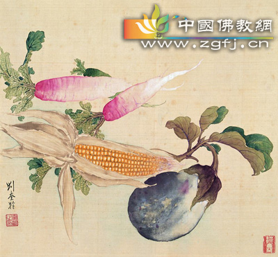 植物-两种美丽的智慧启示:送给天下女人 植物-两种美丽的智慧启示:送给天下女人