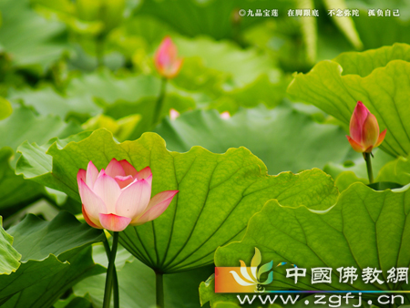 文化-受尽折磨终得大自在 文化-受尽折磨终得大自在