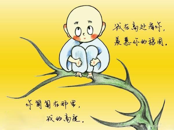 老虎-两只老虎的故事 老虎-两只老虎的故事