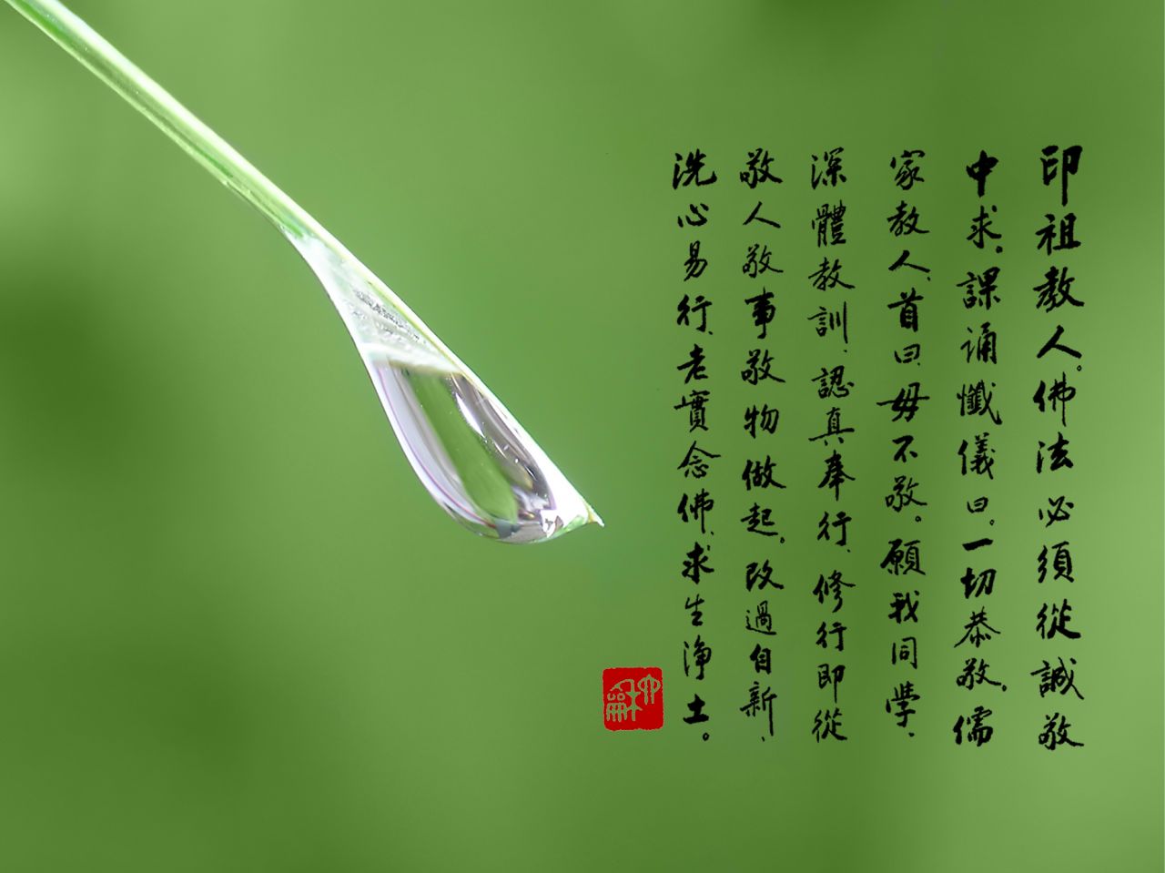 模特-佛心与魔心 模特-佛心与魔心