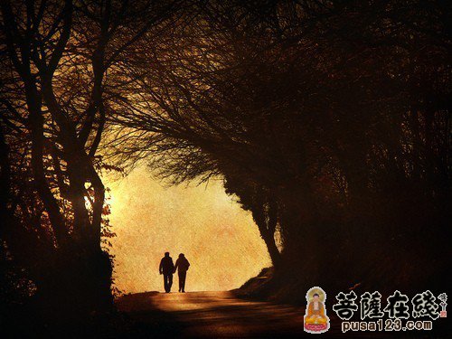 总会有人喜欢你 总会有人喜欢你