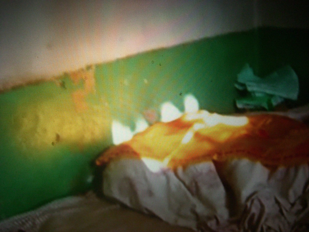 佛教-魏老居士往生纪实 佛教-魏老居士往生纪实