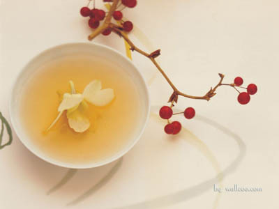 佛教-一空茶 佛教-一空茶