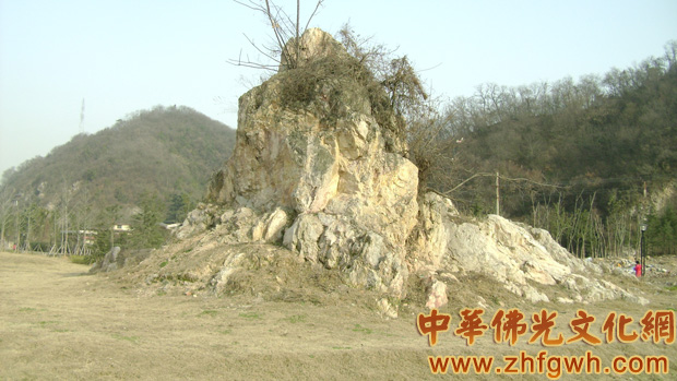 菩提达摩-达摩祖师一苇渡江 路行跨水复逢春 菩提达摩-达摩祖师一苇渡江 路行跨水复逢春