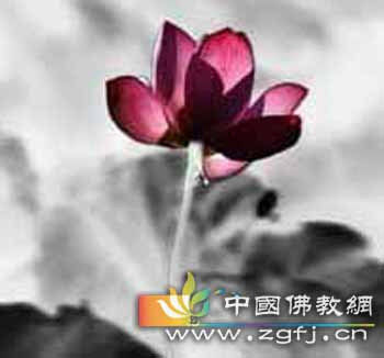 佛教-欲求人间种,恐惊天上神 佛教-欲求人间种,恐惊天上神