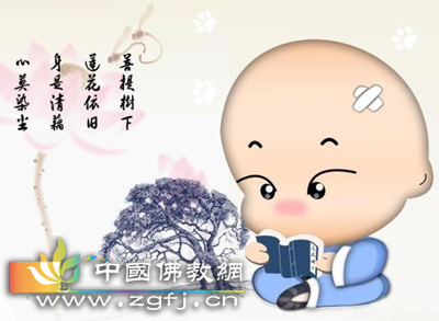 鸽子-落叶归根鸽子的家 鸽子-落叶归根鸽子的家