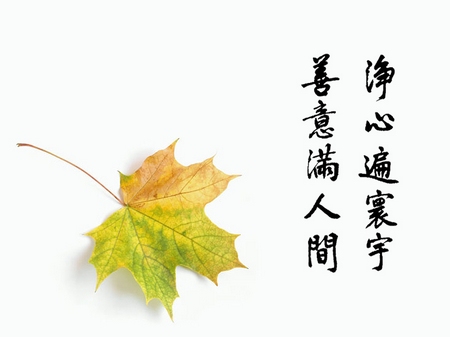 佛教-把爱放在表面上就会很痛苦 佛教-把爱放在表面上就会很痛苦