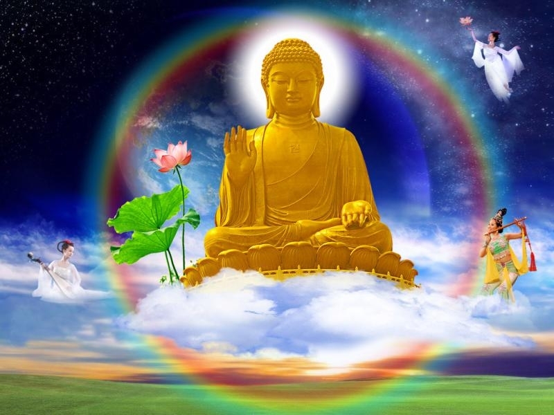 芭蕾-不以年龄为借口 芭蕾-不以年龄为借口