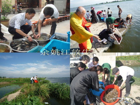 放生故事:老和尚和鱼贩 放生故事:老和尚和鱼贩