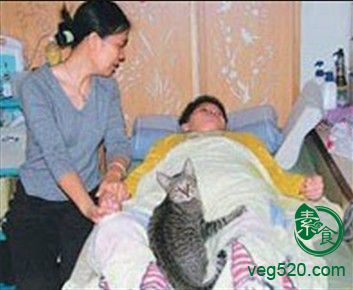 正能量-小动物帮助男童康复 正能量-小动物帮助男童康复