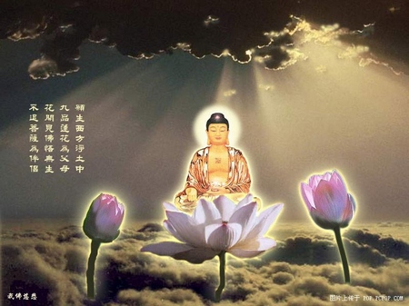 佛教-真的有报应 给麻雀注水 自己肺部积水 佛教-真的有报应 给麻雀注水 自己肺部积水