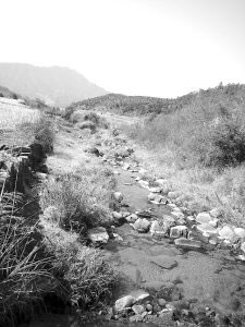 武夷山-武夷山扣冰古佛的传说故事 武夷山-武夷山扣冰古佛的传说故事