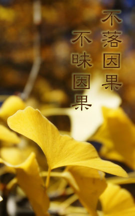 不昧因果-不落因果 不昧因果《无门关》 不昧因果-不落因果 不昧因果《无门关》