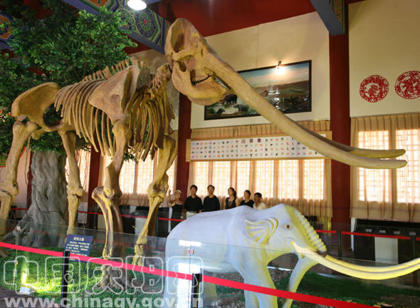 博物馆-陇东古石刻艺术博物馆向您讲述的故事 博物馆-陇东古石刻艺术博物馆向您讲述的故事