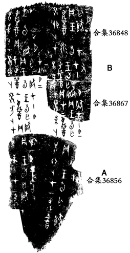 中国历史-甲骨試綴二則