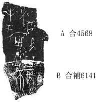 甲骨新綴十二組[蔣玉斌]