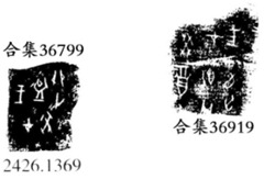 黃組甲骨綴合十則(附綴合修正二則及綴合建議二則)