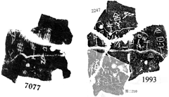 中国历史-甲骨拼合第374-376則[李愛輝]