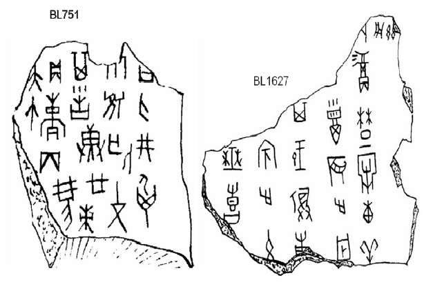 甲骨文-陳光宇：兒氏家譜刻辭綜述及其確為真品的證據