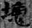 劉釗：漢簡“堊”字小考