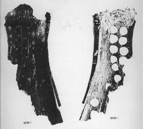 卜卜：談早期胛骨與龜腹甲卜辭佈局相類例