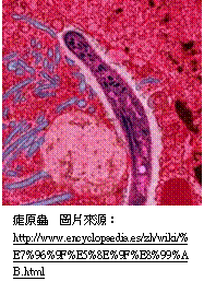 上古音-程少軒：試說戰國楚地出土文獻中歌月元部的一些音韻現象