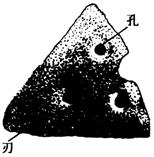 甲骨文-徐寶貴：甲骨文“犁”字及相關問題研究