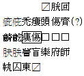 急就篇-水泉子漢簡七言本《蒼頡篇》考—在《說文解字》以前小學書中的位置