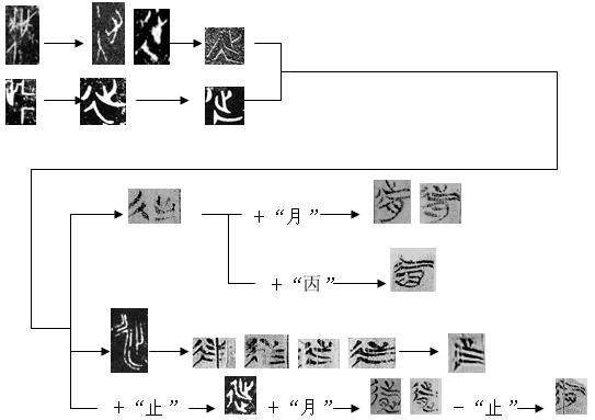 新蔡-新蔡简“延”字及从“延”之字辨析