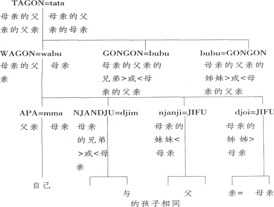 江村经济-关于中国亲属称谓的一点说明——《江村经济》附录