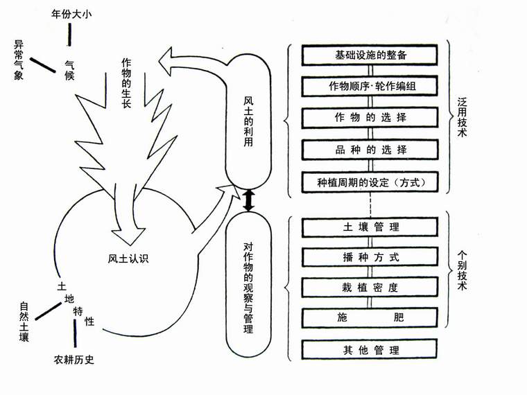 农业发展-从比较史的角度应该如何看待东亚农业